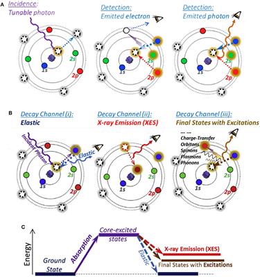 Redox Mechanism in Na-Ion Battery Cathodes Probed by Advanced Soft X-Ray Spectroscopy